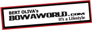 BOWAworld